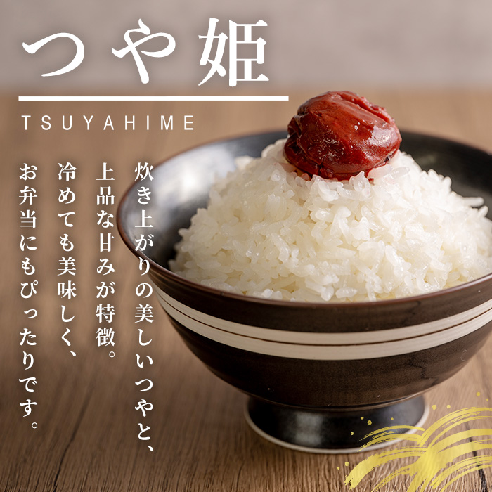 ≪令和7年産≫ 登米市産 ひとめぼれ & つや姫 食べ比べ 10kg (各5kg) 冷蔵米 お米 おこめ 米 コメ 白米 ご飯 ごはん おにぎり お弁当 佐沼交通株式会社【楽らく館】tm475