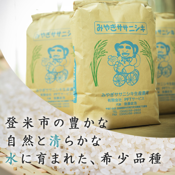 ≪6ヶ月定期便≫ 登米市産 ササニシキ 60kg (10kg×6回) お米 おこめ 米 コメ 白米 ご飯 ごはん おにぎり お弁当 頒布会【有限会社PFTサービス】tm479