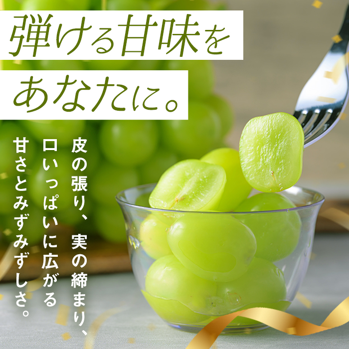 ≪先行予約受付中！≫シャインマスカット 大サイズ 2房 (1房1kg以上) フルーツ 果物 くだもの マスカット ぶどう ブドウ 葡萄 大粒 特大 【いとうブドウ園】tm540