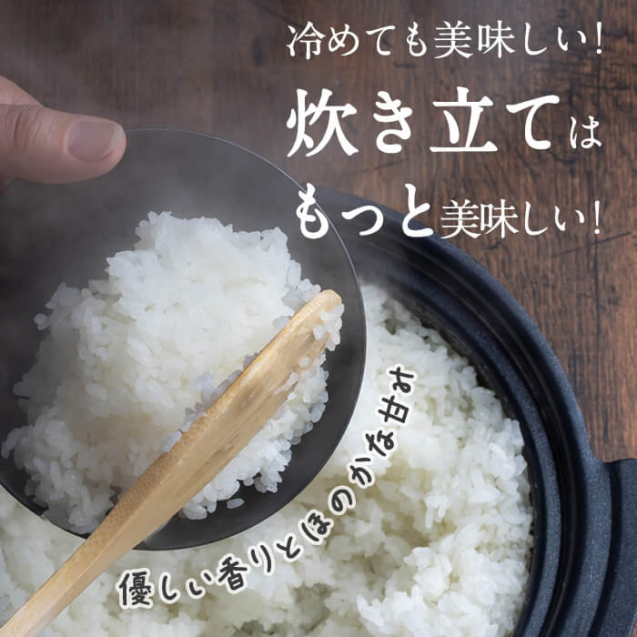 ≪令和7年産≫ お米食べくらべ6kg (つや姫・ひとめぼれ 各3kg) 登米市産 お米 おこめ 米 コメ 白米 ご飯 ごはん おにぎり お弁当 【芳泉農園株式会社】tm541