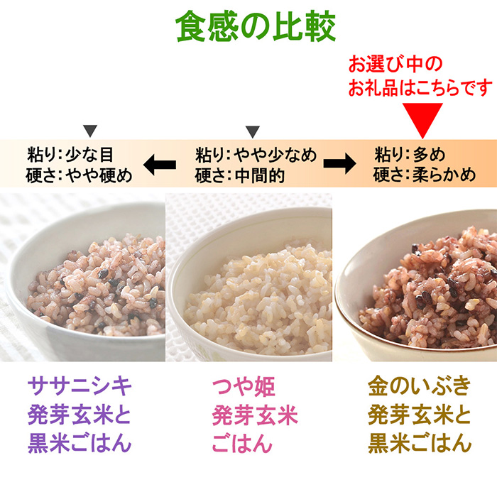 発芽玄米パックご飯 150g×16パック 金のいぶき発芽玄米 黒米 発芽玄米 レンジ 有機栽培 パックライス ご飯 米 レンチン 【有機農園ファーミン株式会社】 tm118