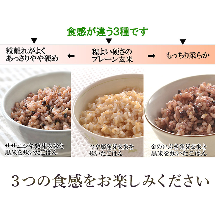発芽玄米パックご飯3種セット 150g×16パック 金のいぶき つや姫 ササニシキ 発芽玄米 黒米 発芽玄米 レンジ 有機栽培 パックライス ご飯 米 レンチン 【有機農園ファーミン株式会社】 tm114