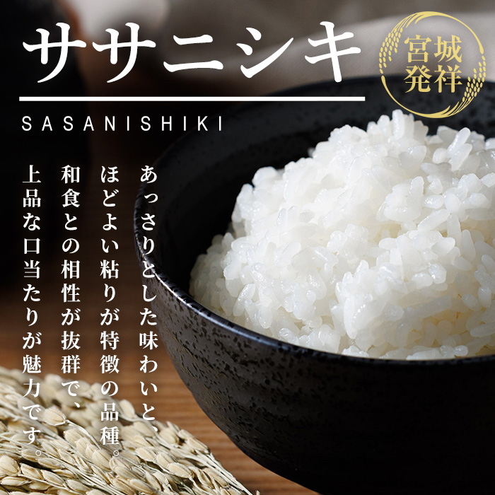 ≪令和7年産 新米≫ 登米市産 ササニシキ 10kg (5kg×2袋) お米 おこめ 米 コメ 白米 ご飯 ごはん おにぎり お弁当【有限会社PFTサービス】tm092
