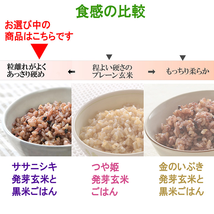 発芽玄米パックご飯 150g×40パック ササニシキ発芽玄米 黒米 発芽玄米 レンジ 有機栽培 パックライス ご飯 米 レンチン 【有機農園ファーミン株式会社】 tm121