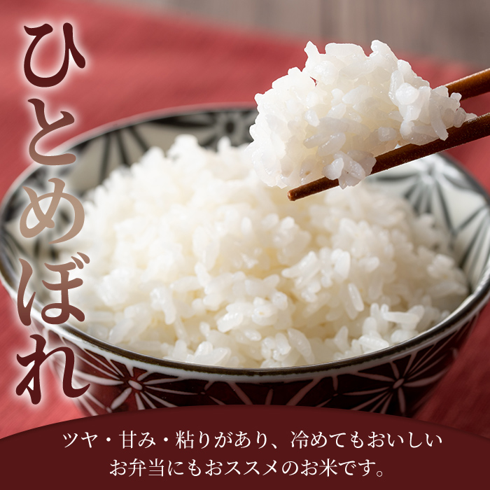 ≪令和7年産 新米≫ ひとめぼれ 5kg (5kg×1袋) 登米市産 お米 おこめ 米 コメ 白米 ご飯 ごはん おにぎり お弁当 【登米ライスサービス株式会社】tm146