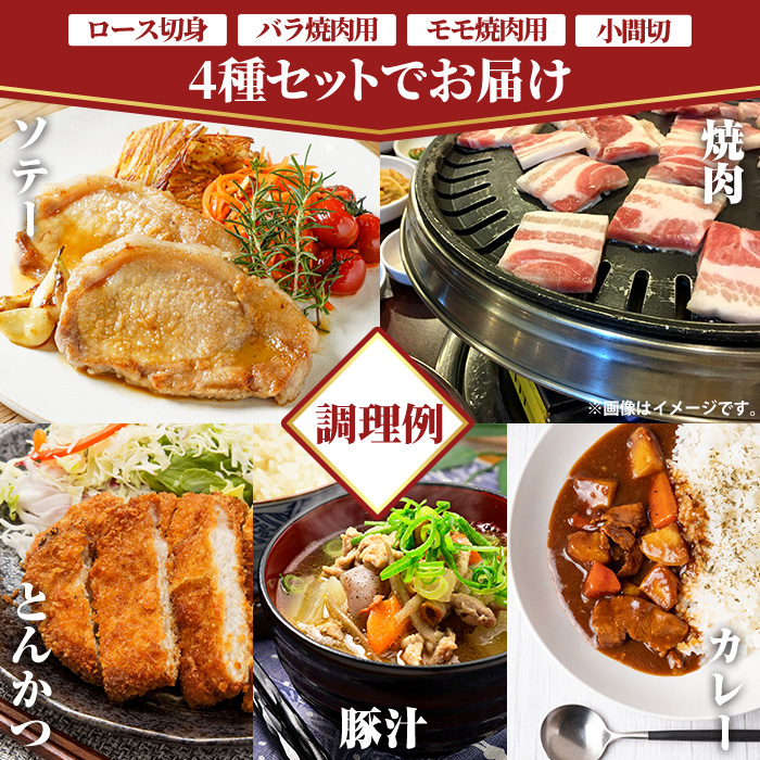 登米市産 ほろよいとん 食べ比べセット 約700g (全4種) ロース バラ モモ 小間切れ 焼肉 とんかつ ソテー カレー バーベキュー 豚肉 肉 お肉 冷凍 にく【株式会社阿部食肉】tm280