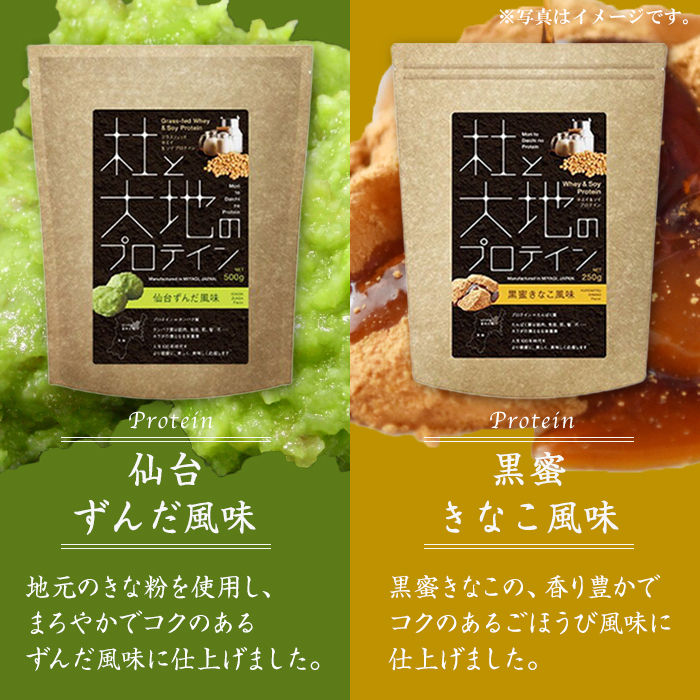 杜と大地のプロテイン 2種セット (2種×各500g) ＜仙台ずんだ風味・黒蜜きなこ風味＞ トレーニング 筋トレ タンパク質 常温 水分補給 ドリンク ジム 国内製造 加工食品 【UGOQ株式会社】 tm333