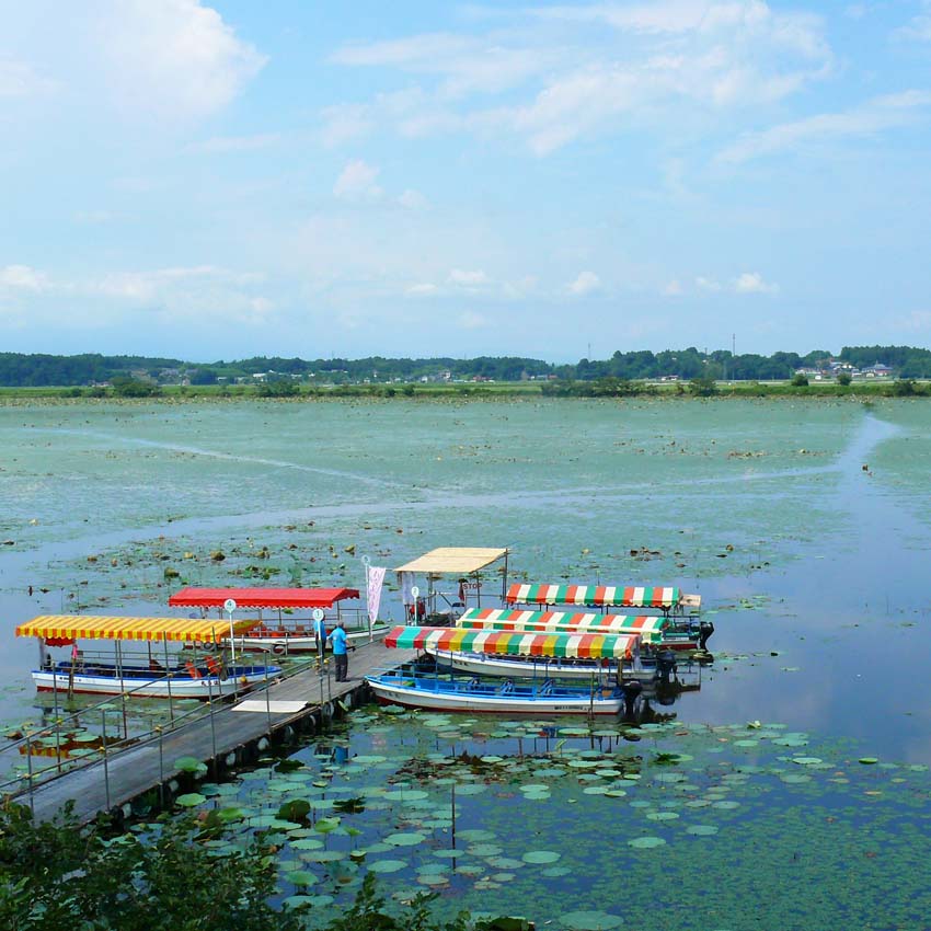 伊豆沼ラムサール広場キャンプ場 利用券 ＜1泊×2枚＞ ラムサール広場 宿 宿泊 キャンプ アウトドア 旅行 利用券 観光 グルメ 家族旅行 伊豆沼ハム ウインナー ソーセージ【有限会社伊豆沼農産】tm443
