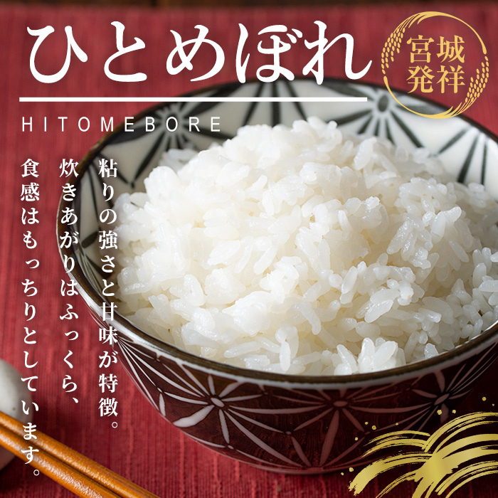 ≪令和7年産≫ 登米市産 ひとめぼれ 10kg(5kg×2袋) 冷蔵米 お米 おこめ 米 コメ 白米 ご飯 ごはん おにぎり お弁当 佐沼交通株式会社【楽らく館】tm473