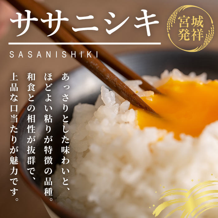 ≪令和7年産≫ 登米市産 ササニシキ 10kg(5kg×2袋) 冷蔵米 お米 おこめ 米 コメ 白米 ご飯 ごはん おにぎり お弁当 佐沼交通株式会社【楽らく館】tm476