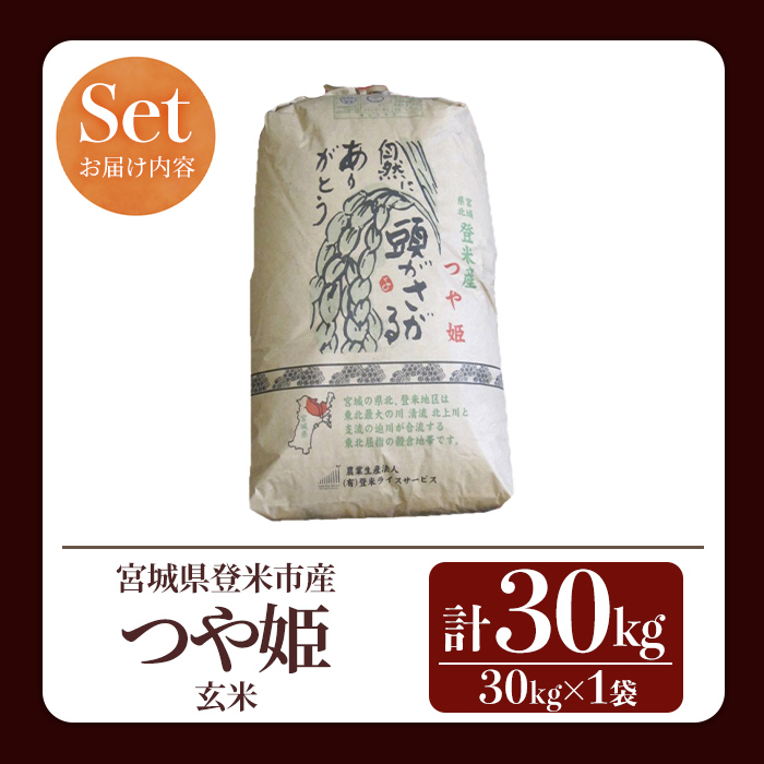 ≪令和7年産≫ つや姫 玄米 30kg 登米市産 お米 おこめ 米 コメ ご飯 ごはん おにぎり お弁当 【登米ライスサービス株式会社】tm143
