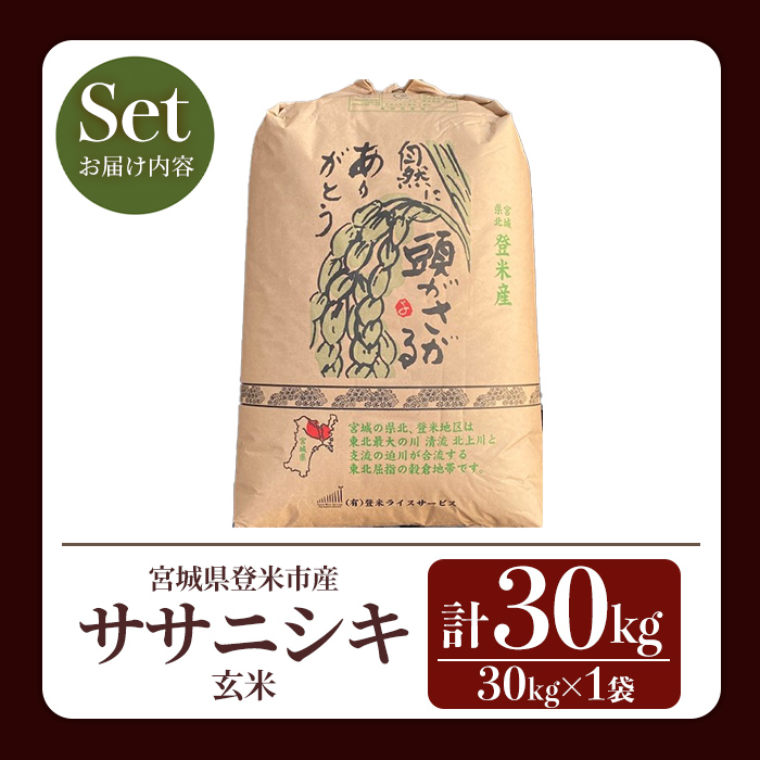 ≪令和7年産≫ ササニシキ 玄米 30kg 登米市産 お米 おこめ 米 コメ ささにしき ご飯 ごはん おにぎり お弁当 【登米ライスサービス株式会社】tm150