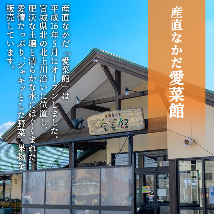 ≪登米市産りんご100%使用≫ りんごジュース 3本セット (1000ml×3本) りんご リンゴ 林檎 ジュース リンゴジュース 飲み物 飲料 フルーツ 果物 水分補給 ドリンク 【協同組合産直なかだ愛菜館】tm220