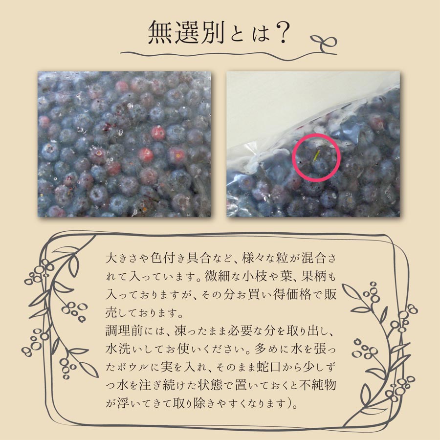 ≪ 訳あり≫ 無選別 冷凍ブルーベリー 2kg ブルーベリー 果物 フルーツ 朝食 ヨーグルト スムージー 健康 訳アリ【有限会社伊豆沼農産】tm439