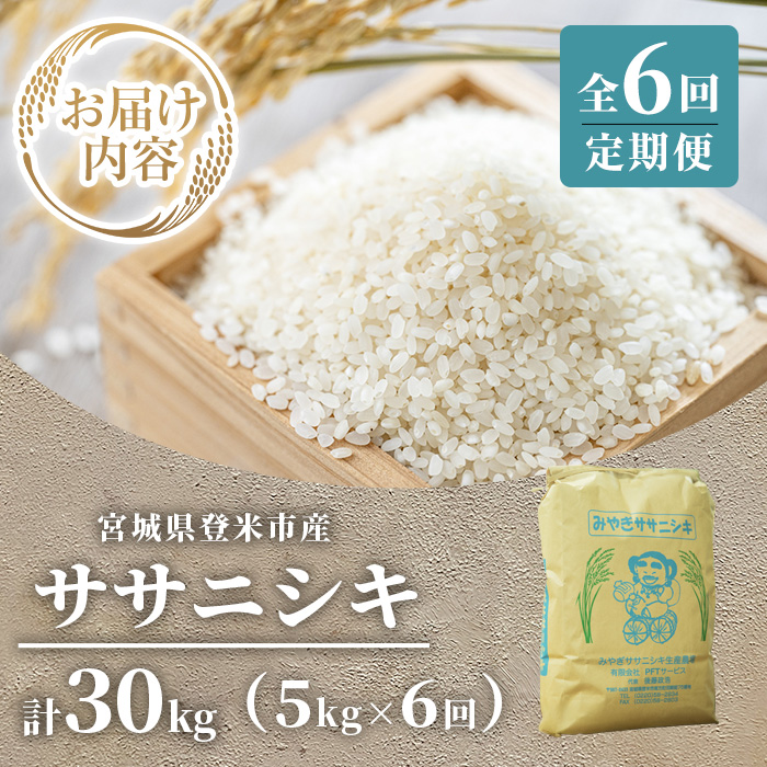 ≪6ヶ月定期便≫ 登米市産 ササニシキ 30kg (5kg×6回) お米 おこめ 米 コメ 白米 ご飯 ごはん おにぎり お弁当 頒布会【有限会社PFTサービス】tm478