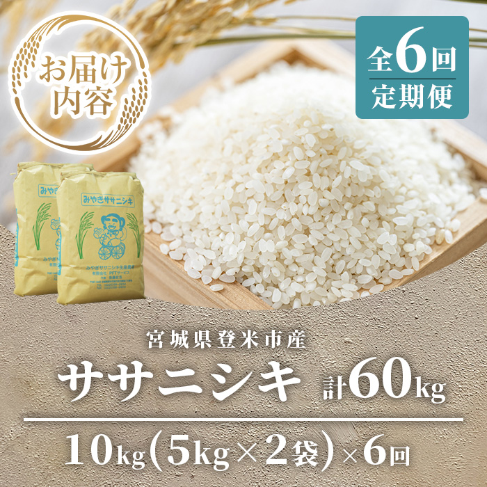 ≪6ヶ月定期便≫ 登米市産 ササニシキ 60kg (10kg×6回) お米 おこめ 米 コメ 白米 ご飯 ごはん おにぎり お弁当 頒布会【有限会社PFTサービス】tm479
