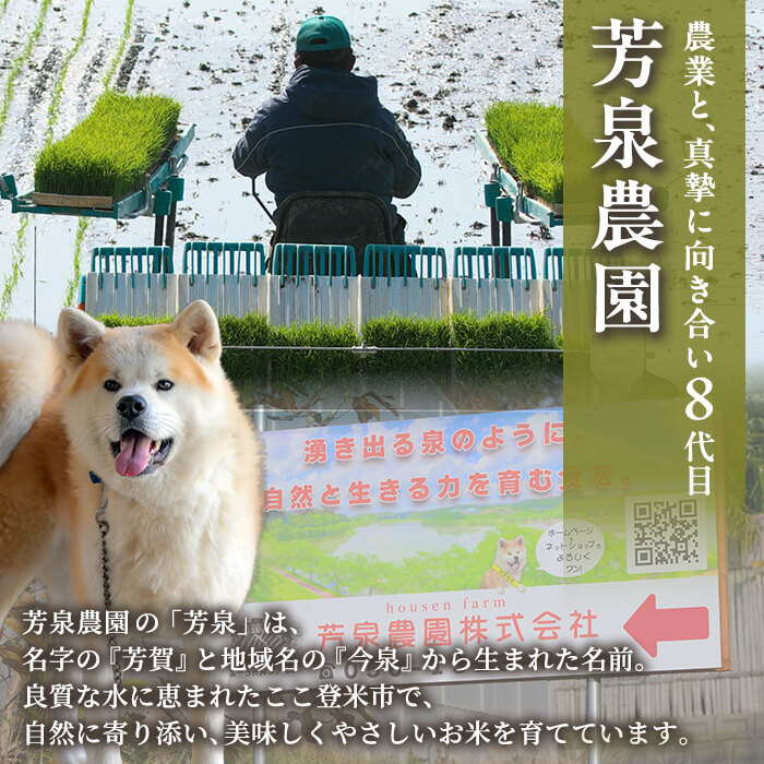 ≪令和7年産≫ お米食べくらべ6kg (つや姫・ひとめぼれ 各3kg) 登米市産 お米 おこめ 米 コメ 白米 ご飯 ごはん おにぎり お弁当 【芳泉農園株式会社】tm541