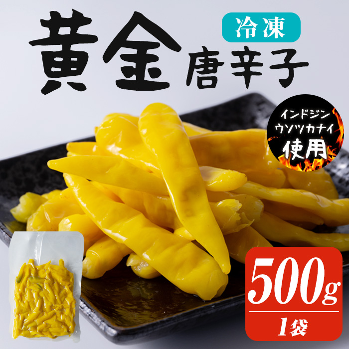 黄金唐辛子 500g 生 殺菌 急速冷凍 業務用 宮城県 登米市産 トウガラシとうがらし 冷凍 うまい登米っこ欒や！ 【有限会社ケンズダイニング】tm100