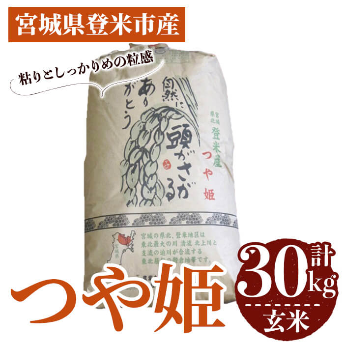 ≪令和7年産≫ つや姫 玄米 30kg 登米市産 お米 おこめ 米 コメ ご飯 ごはん おにぎり お弁当 【登米ライスサービス株式会社】tm143