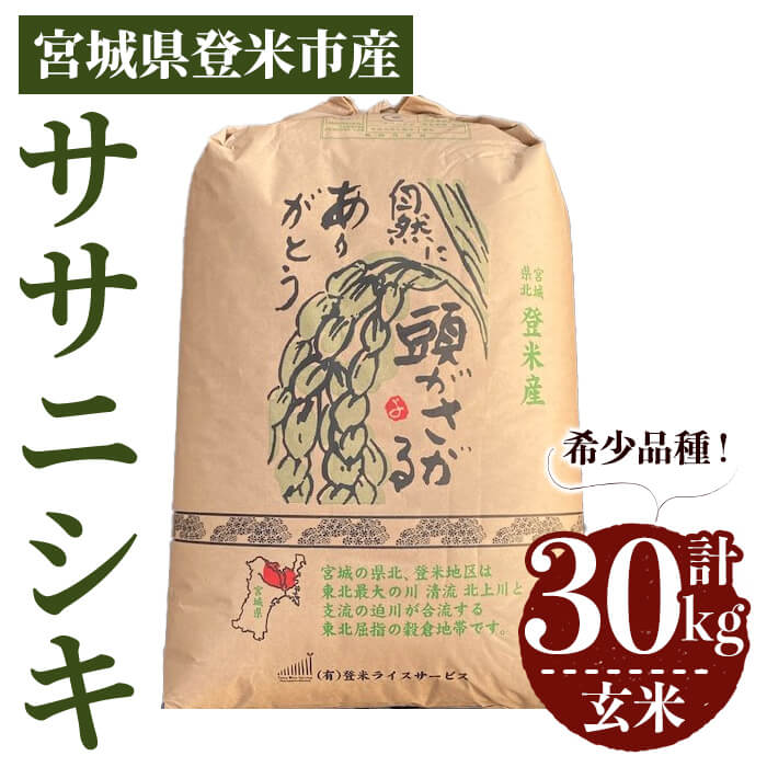≪令和7年産≫ ササニシキ 玄米 30kg 登米市産 お米 おこめ 米 コメ ささにしき ご飯 ごはん おにぎり お弁当 【登米ライスサービス株式会社】tm150