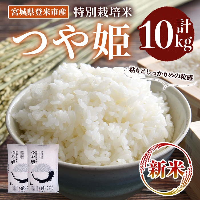 ≪令和7年産 新米≫ 特別栽培米 つや姫 10kg (5kg×2袋)  登米市産 お米 おこめ 米 コメ 白米 ご飯 ごはん おにぎり お弁当 【登米ライスサービス株式会社】tm155