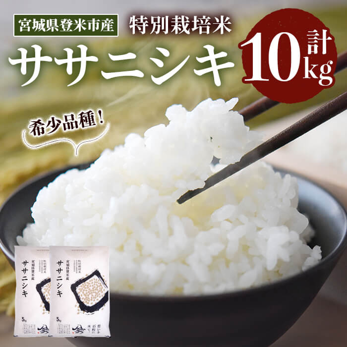 ≪令和7年産≫ 特別栽培米 ササニシキ 10kg (5kg×2袋)  登米市産 お米 おこめ 米 コメ ささにしき 白米 ご飯 ごはん おにぎり お弁当 【登米ライスサービス株式会社】tm157