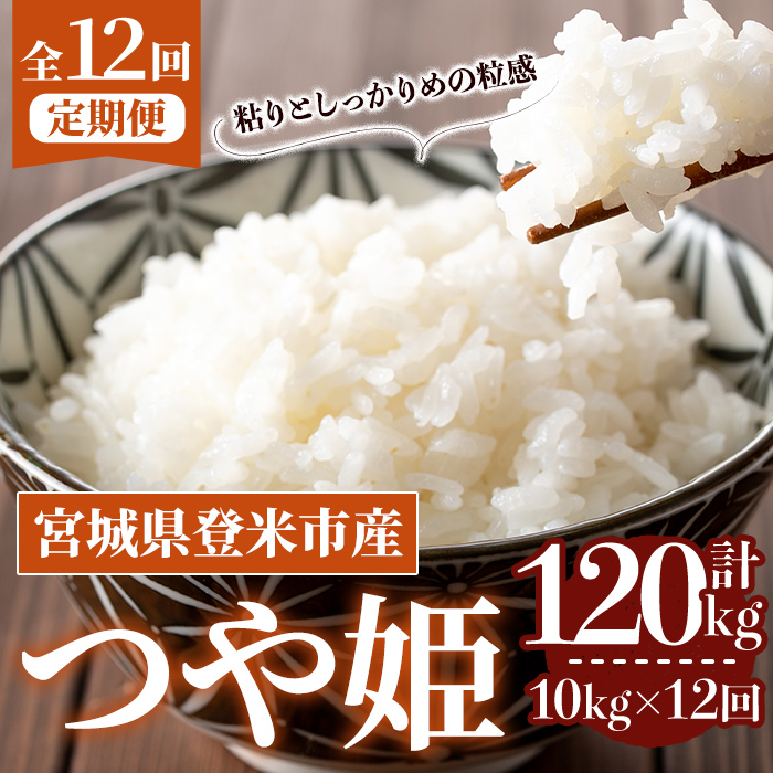 ≪令和7年産≫【12回定期便】つや姫 計120kg (10kg×12回配送) 登米市産 お米 おこめ 米 コメ 白米 ご飯 ごはん おにぎり お弁当 12か月 頒布会【登米ライスサービス株式会社】tm168