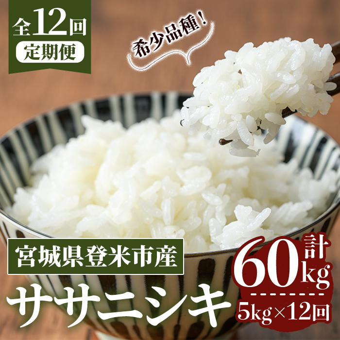 ≪令和7年産≫【12回定期便】ササニシキ 計60kg (5kg×12回配送) 登米市産 お米 おこめ 米 コメ ささにしき 白米 ご飯 ごはん おにぎり お弁当 12か月 頒布会【登米ライスサービス株式会社】tm169