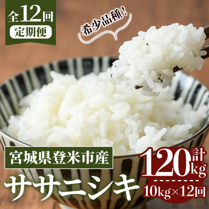 ≪令和7年産≫【12回定期便】ササニシキ 計120kg (10kg×12回配送) 登米市産 お米 おこめ 米 コメ 白米 ご飯 ごはん おにぎり お弁当 12か月 頒布会【登米ライスサービス株式会社】tm170