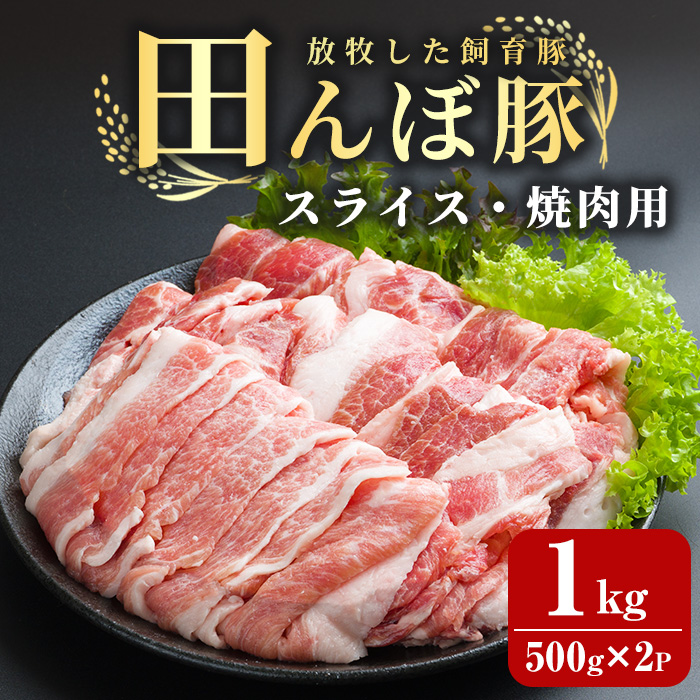 田んぼ豚 スライス1kg (500g×2P) 焼き肉用 豚肉 肉 お肉 冷凍 にく 登米市産 バーベキュー 【株式会社いなほ】tm265