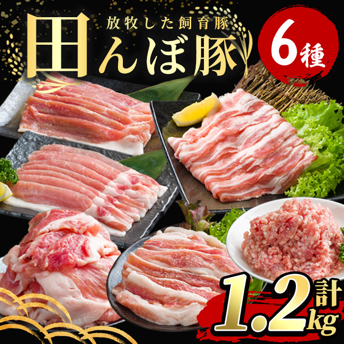 田んぼ豚セット 計1.2kg (200g×6種)  豚肉 肉 お肉 冷凍 にく 登米市産 ロース バラ モモのスライス 肩焼肉用 細切れ ひき肉 【株式会社いなほ】tm268