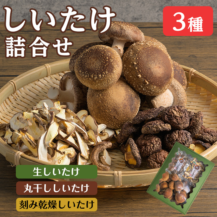 しいたけ詰め合わせセット 3種 (生・乾燥)  生しいたけ 丸干ししいたけ 刻み乾燥しいたけ 椎茸シイタケ きのこ キノコ ドライ 料理 茶碗蒸し 出汁 しいたけランド 【株式会社ワンズ】tm282