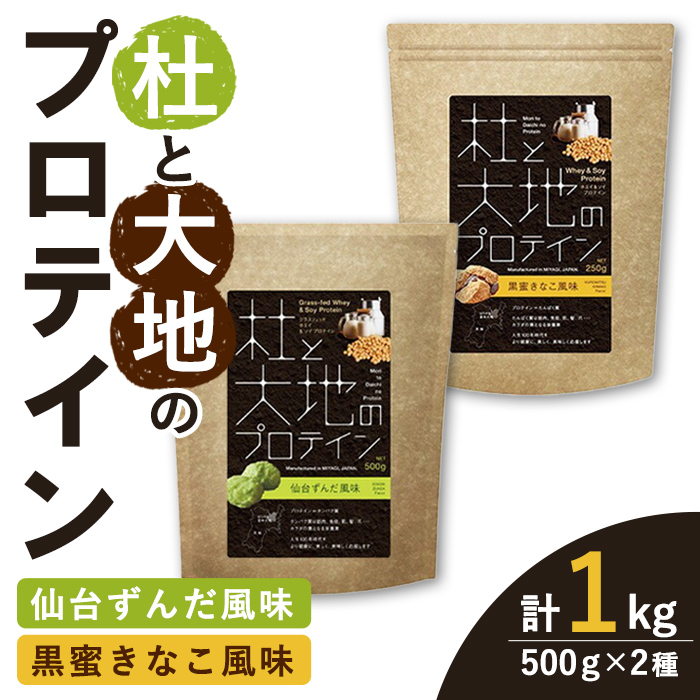 杜と大地のプロテイン 2種セット (2種×各500g) ＜仙台ずんだ風味・黒蜜きなこ風味＞ トレーニング 筋トレ タンパク質 常温 水分補給 ドリンク ジム 国内製造 加工食品 【UGOQ株式会社】 tm333