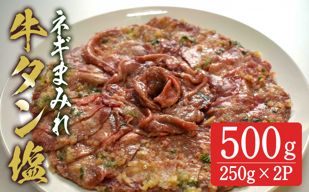 牛タン塩 ネギまみれ 500g(250g×2p) 牛タン タン 牛たん 牛肉 肉 食品 冷凍保存 焼肉 BBQ バーベキュー 焼き肉 小分け 【有限会社ちば食品】tm377