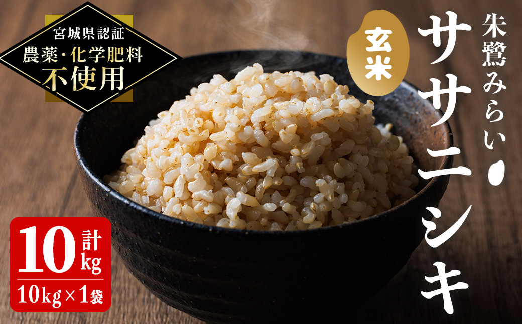 ＜宮城県認証 農薬・化学肥料不使用＞ササニシキ 玄米 10kg (10kg×1袋) 朱鷺みらい 玄米 登米市産 お米 おこめ 米 コメ 白米 ご飯 ごはん おにぎり お弁当 ささにしき 【オーガニックとめネットワーク】tm396