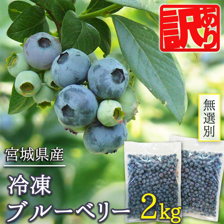 ≪ 訳あり≫ 無選別 冷凍ブルーベリー 2kg ブルーベリー 果物 フルーツ 朝食 ヨーグルト スムージー 健康 訳アリ【有限会社伊豆沼農産】tm439