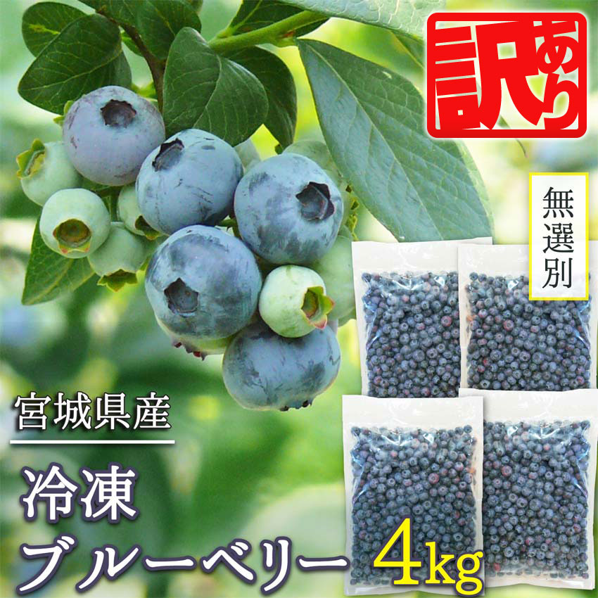 ≪ 訳あり≫ 無選別 冷凍ブルーベリー 4kg ブルーベリー 果物 フルーツ 朝食 ヨーグルト スムージー 健康 訳アリ【有限会社伊豆沼農産】tm440