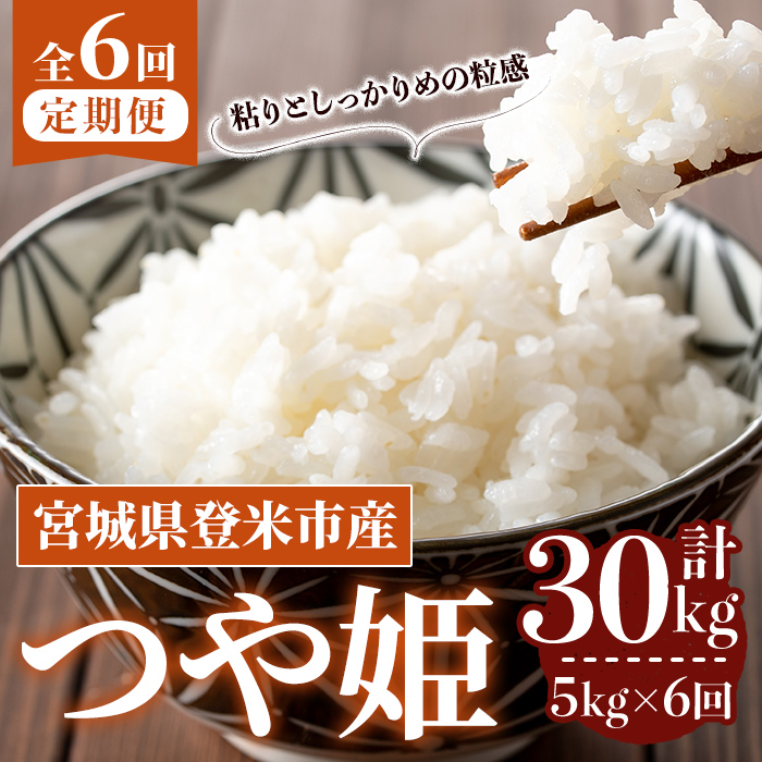 ≪令和7年産≫【6回定期便】つや姫 計30kg (5kg×6回配送) 登米市産 お米 おこめ 米 コメ 白米 ご飯 ごはん おにぎり お弁当 6か月 頒布会【登米ライスサービス株式会社】tm458