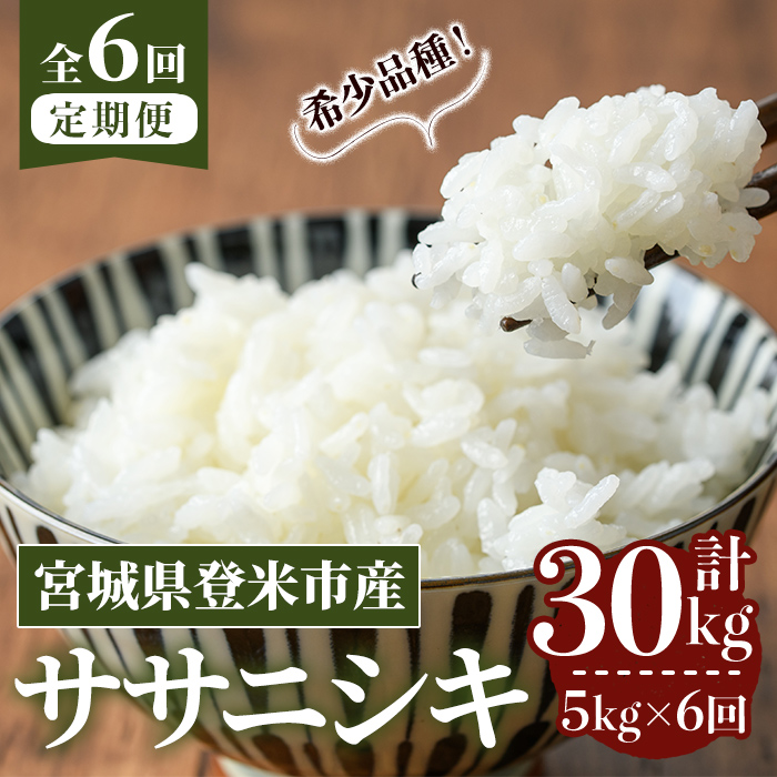 ≪令和7年産≫【6回定期便】ササニシキ 計30kg (5kg×6回配送) 登米市産 お米 おこめ 米 コメ 白米 ご飯 ごはん おにぎり お弁当 6か月 頒布会【登米ライスサービス株式会社】tm460