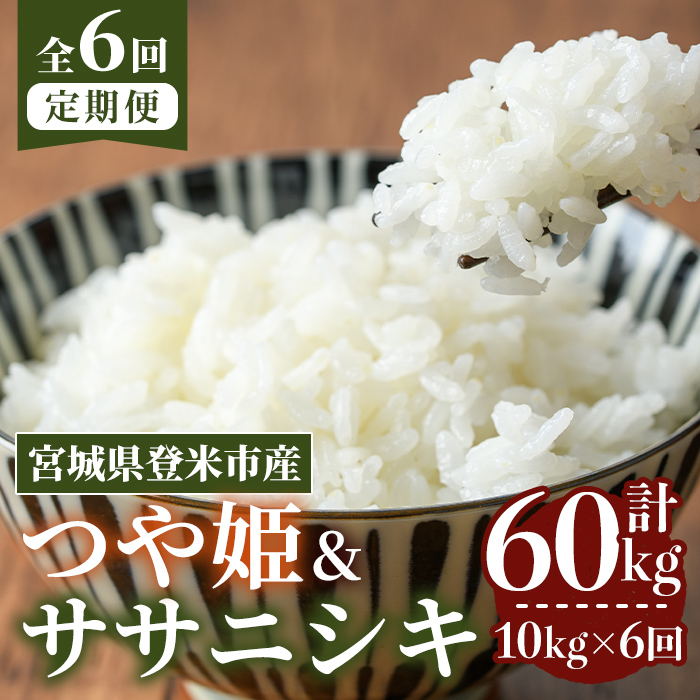 ≪令和7年産≫【6回定期便】ササニシキ・つや姫 計60kg (各5kg×6回配送) 登米市産 お米 おこめ 米 コメ 白米 ご飯 ごはん おにぎり お弁当 6か月 頒布会【登米ライスサービス株式会社】tm462