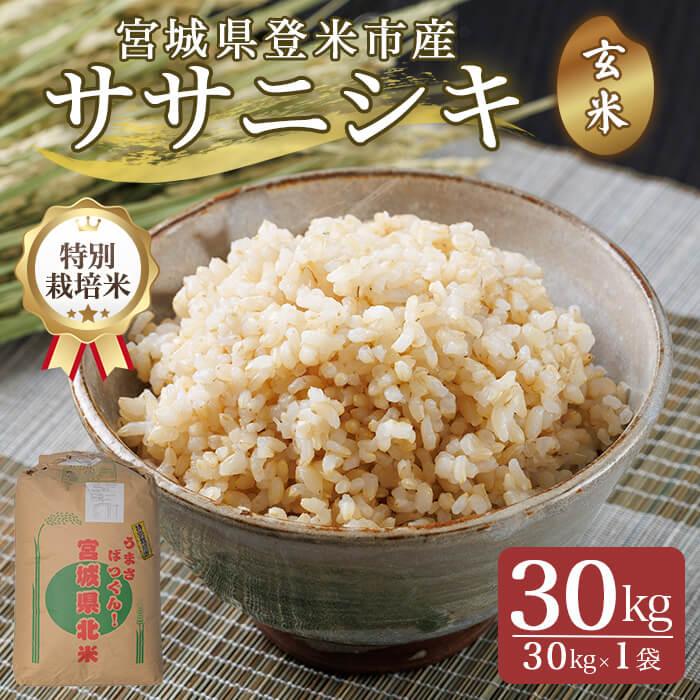 ≪令和7年産≫＜特別栽培米＞ササニシキ 玄米 30kg(30kg×1袋) 登米市産 米 お米 おこめ ごはん ご飯 玄米 おにぎり お弁当 ささにしき 30キロ 【宮城商事株式会社】tm465