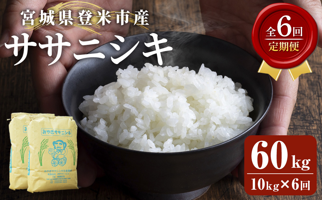 ≪6ヶ月定期便≫ 登米市産 ササニシキ 60kg (10kg×6回) お米 おこめ 米 コメ 白米 ご飯 ごはん おにぎり お弁当 頒布会【有限会社PFTサービス】tm479
