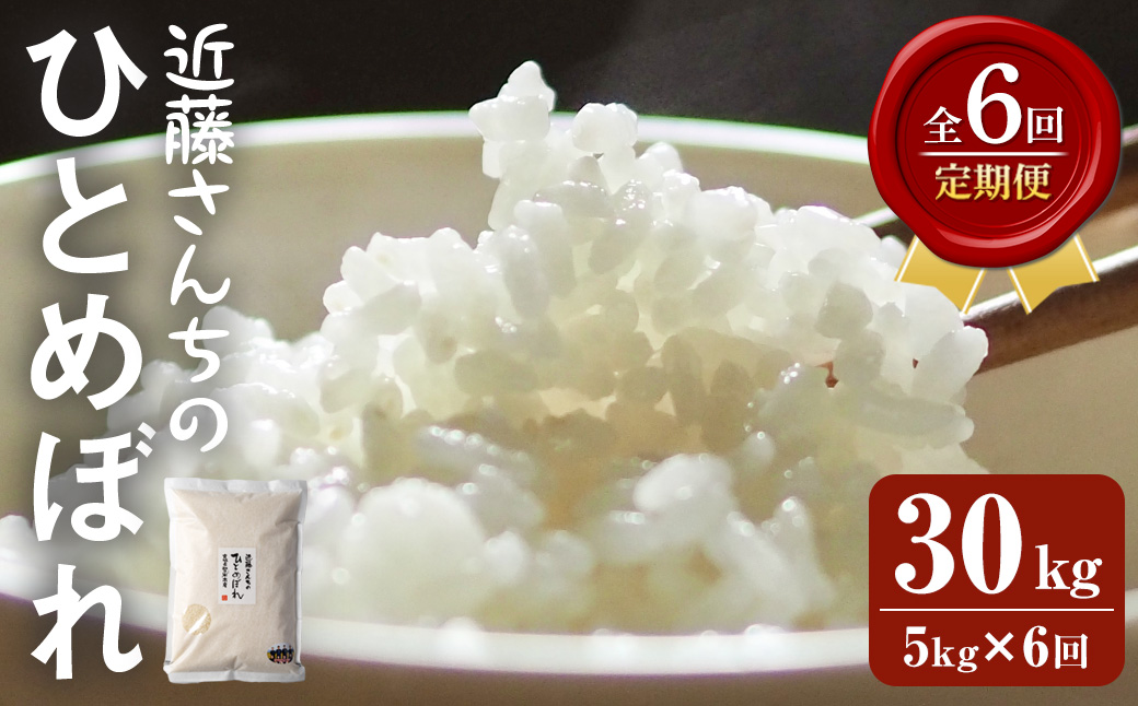 【6回定期便】≪令和7年産≫ ひとめぼれ 精米 計30kg(5kg×6回) 宮城県登米市産 お米 おこめ 米 コメ 白米 ご飯 ごはん おにぎり お弁当 【株式会社近藤農産】tm497
