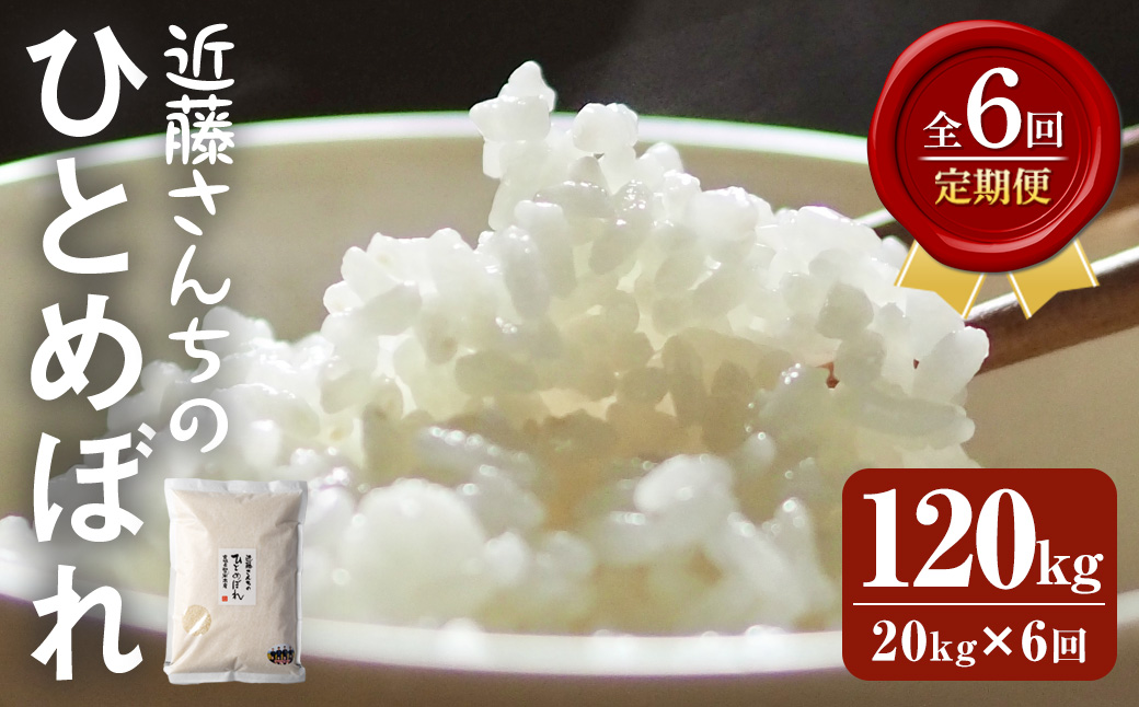 【6回定期便】≪令和7年産≫ ひとめぼれ 精米 計120kg(20kg×6回) 宮城県登米市産 お米 おこめ 米 コメ 白米 ご飯 ごはん おにぎり お弁当 【株式会社近藤農産】tm500