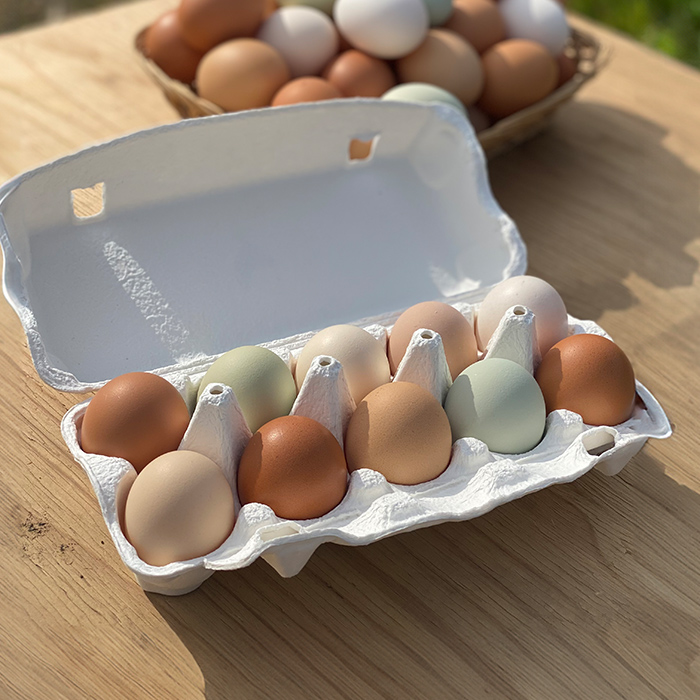 鶏とわたしの平飼い玉子 30個(10個入り×3パック) たまご 卵 卵焼き 生卵 ゆで卵 卵かけごはん 鶏卵 鶏 平飼い 【鶏とわたし】tm545