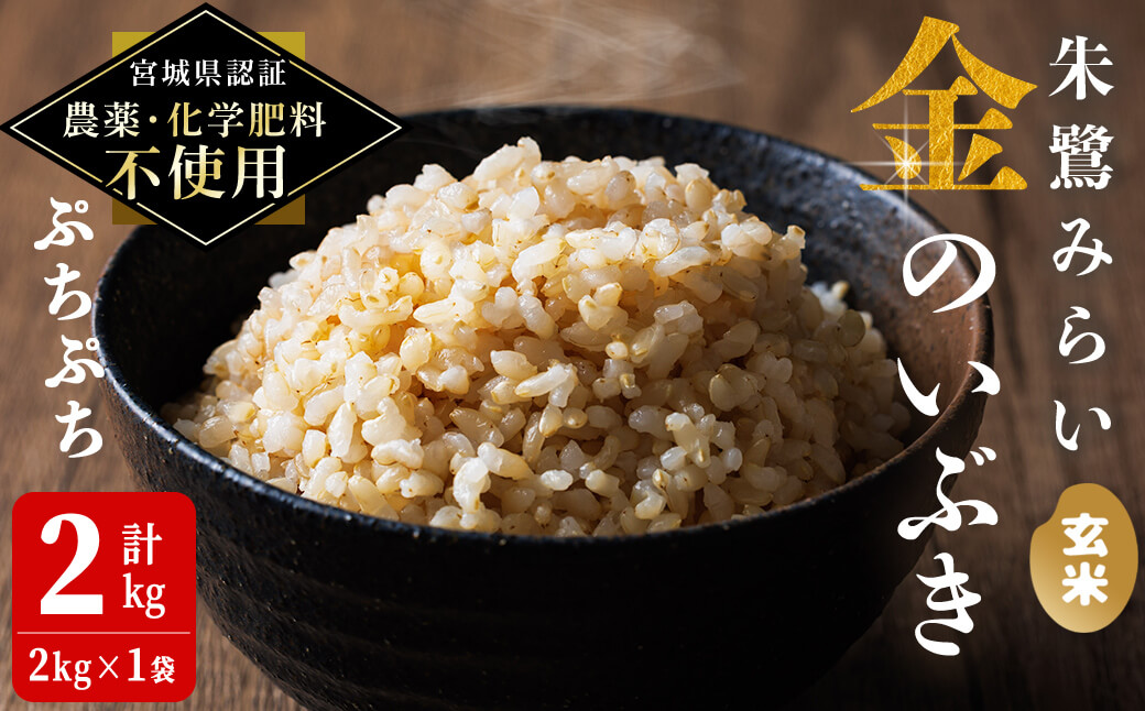 ＜宮城県認証 農薬・化学肥料不使用＞金のいぶき 玄米 2kg(2kg×1袋) 朱鷺みらい 登米市産 お米 おこめ 米 コメ ご飯 ごはん おにぎり お弁当 【オーガニックとめネットワーク】tm586