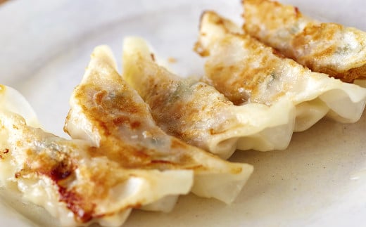 【伊達の純粋赤豚】赤豚生餃子 30個 (15個入り×2パック) 生餃子 ギョウザ 宮城県産 冷凍食品 おかず おつまみ 惣菜 豚 【有限会社伊豆沼農産】 tm065