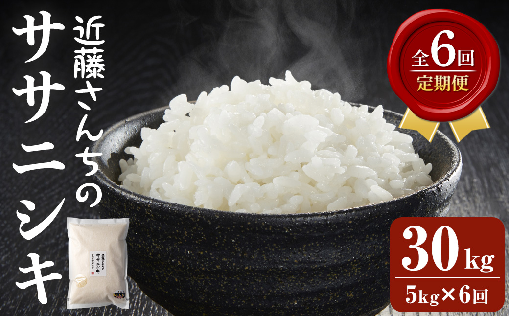 [6回定期便]≪令和7年産≫ ササニシキ 精米 計30kg(5kg×6回) 宮城県登米市産 お米 おこめ 米 コメ 白米 ご飯 ごはん おにぎり お弁当 6か月 頒布会[株式会社近藤農産]tm509