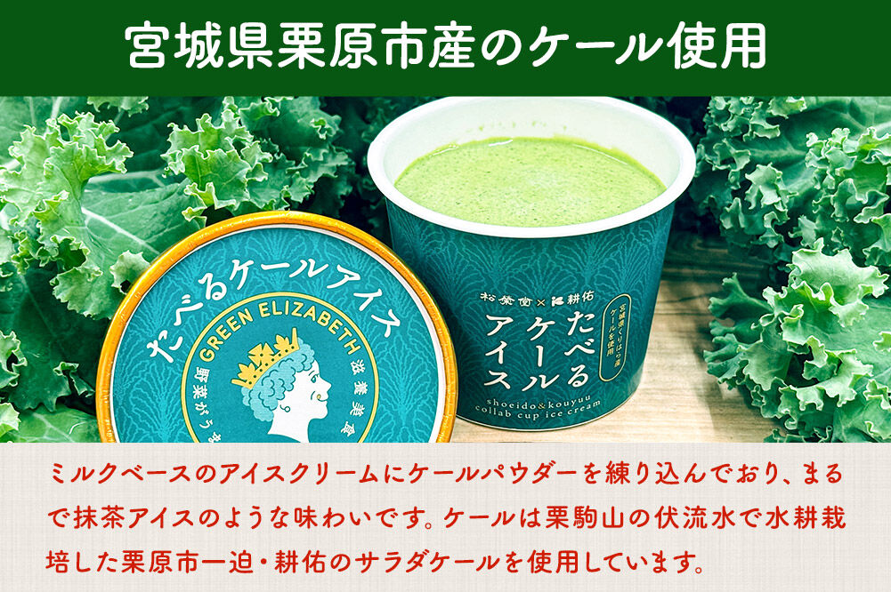 アイスクリーム たべるケールアイス 90ml 6個 入り [ケール 抹茶アイス サラダケール 栗駒山 伏流水 水耕栽培 美味 おいしい 宮城県 栗原市 くりはらファーマーズラボ ケールアイス]