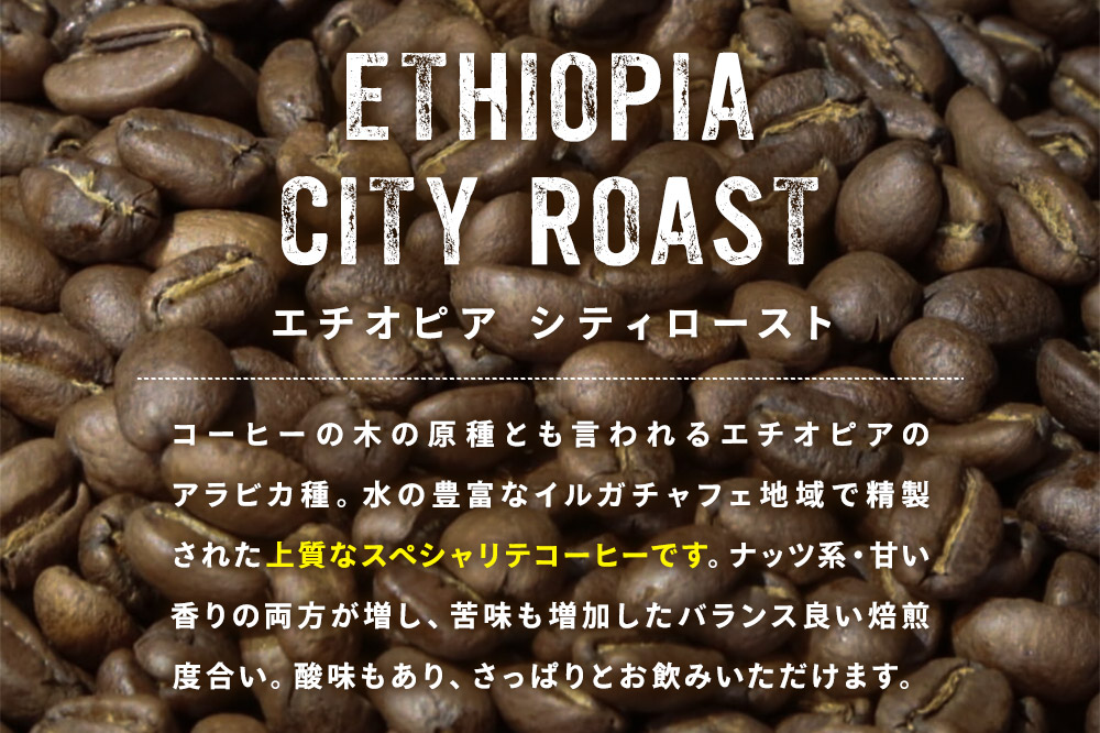 コーヒー豆 エチオピア シティ 500g×1個